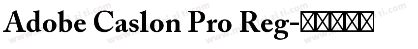 Adobe Caslon Pro Reg字体转换